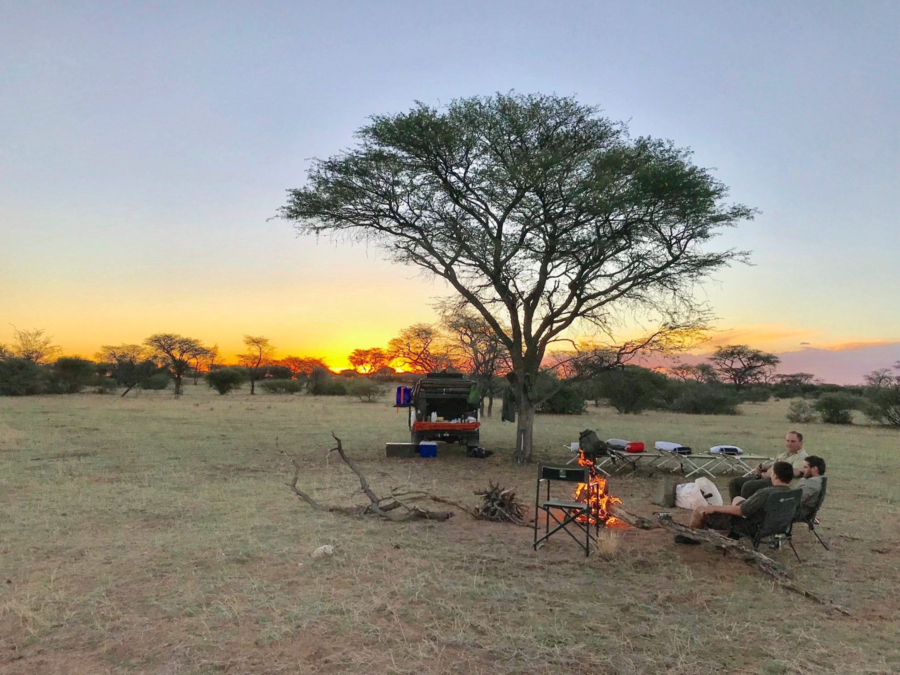 Fly camp under a camel thorn at sunset