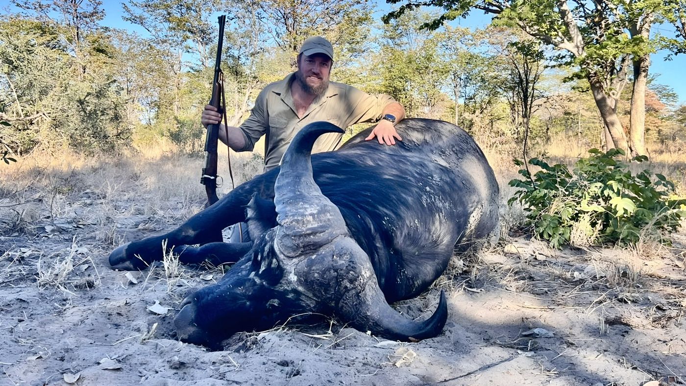 Client with a Cape buffalo
