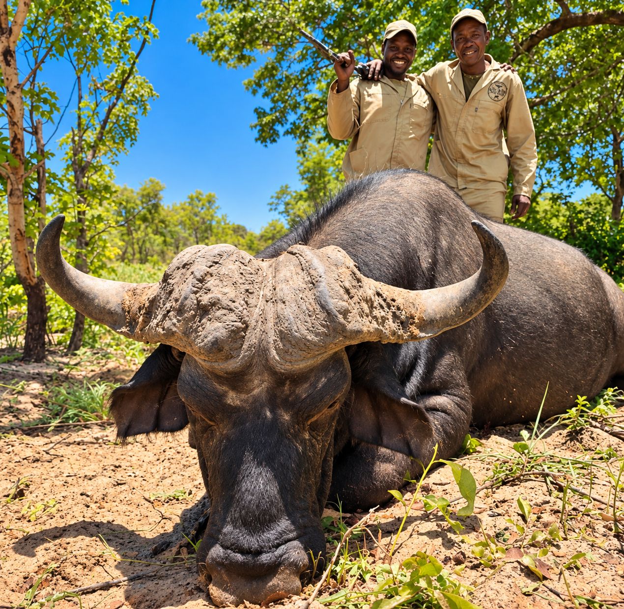 Trackers with a Cape buffalo