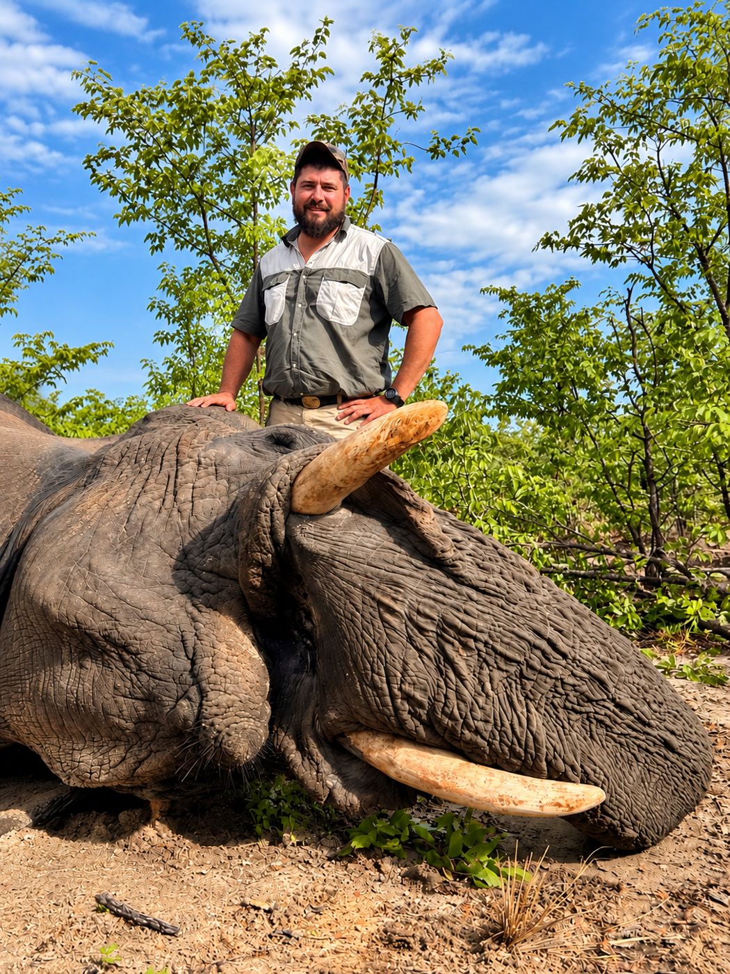 Hunter with an elephant bull in the bush