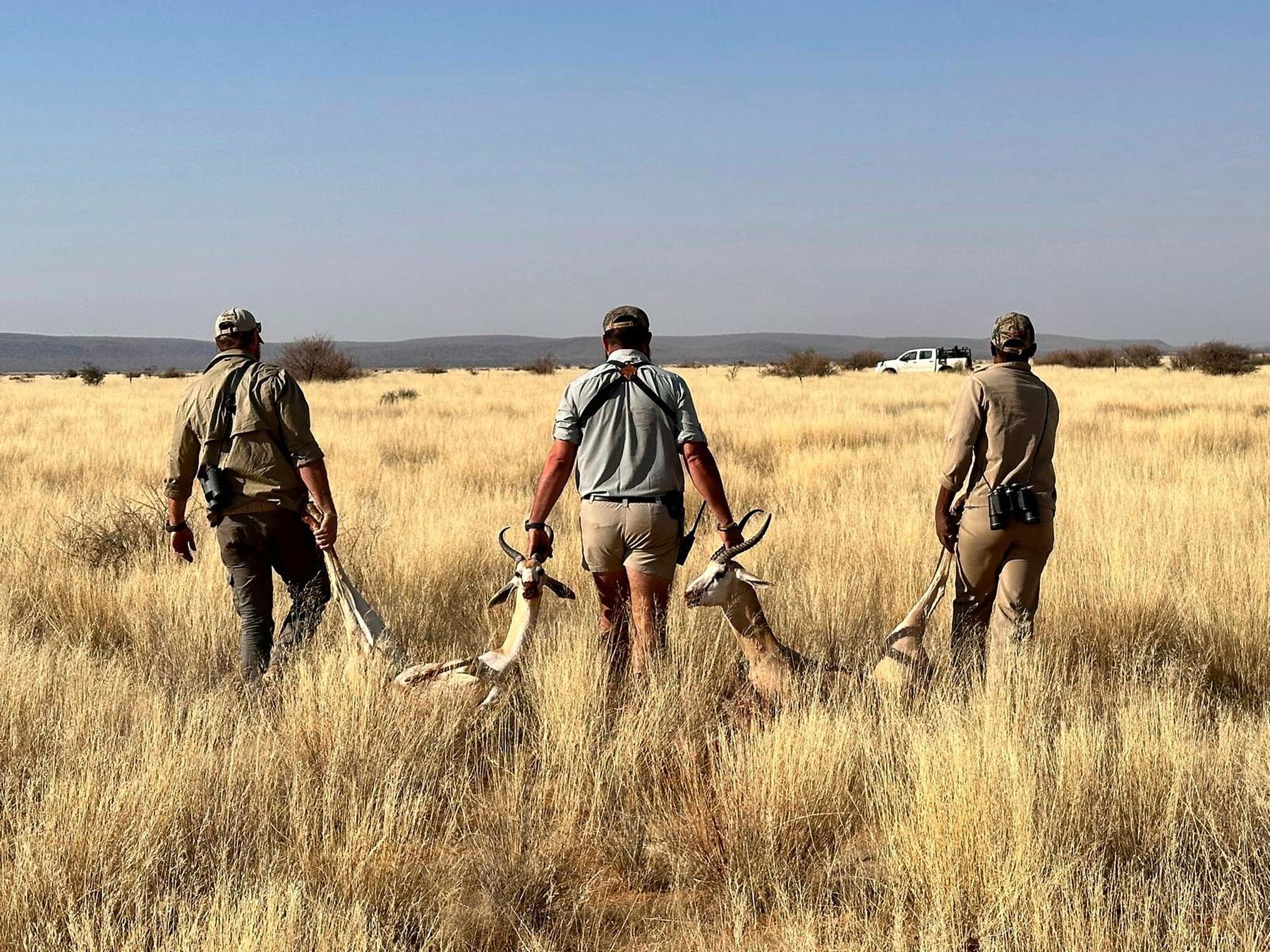 Hunters walking through golden grass